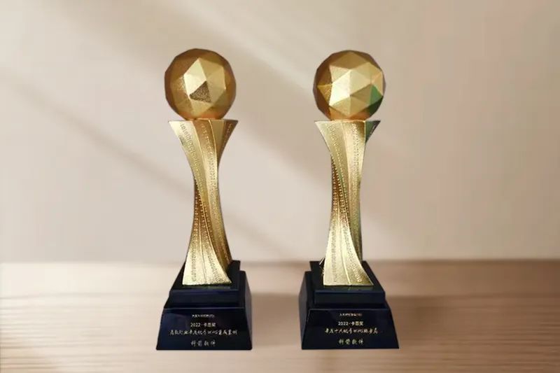 年度十大優秀WMS服務商-獎杯